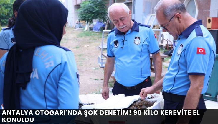 Alanya haber (82)