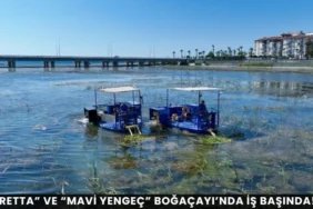 Alanya Üniversitesi Öğrencileri İçin Yeni Dönem! İŞKUR Kampüs Hizmeti Başlıyor - Mega TV thumbnail