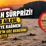 Alanya haber - 2026-08-10T131551.934