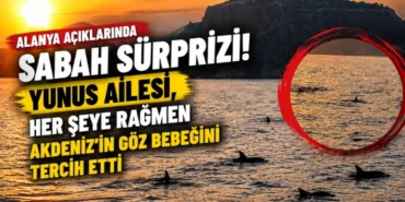 Alanya haber - 2026-08-10T131551.934