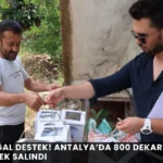 Alanya haber - 2026-08-12T132117.587