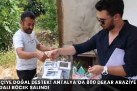 Rüyalarla Başladı, Romanla Hayat Buldu: Alanyalı Şule Noyan’dan ‘Ayasofya/Aya’ - Mega TV thumbnail