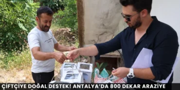 Alanya haber - 2026-08-12T132117.587