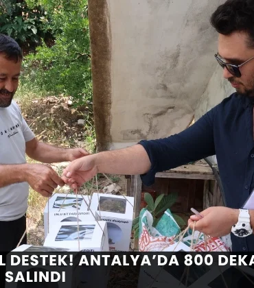 Alanya haber - 2026-08-12T132117.587