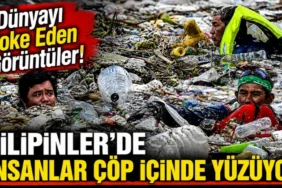 Çiftçiye Doğal Destek! Antalya’da 800 Dekar Araziye Faydalı Böcek Salındı - Mega TV thumbnail