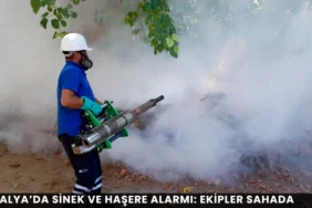 Alanya haber - 2026-08-14T135457.900