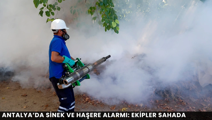Antalya’da Sinek ve Haşere Alarmı: Ekipler Sahada - Mega TV Alanya haber - 2026-08-14T135457.900