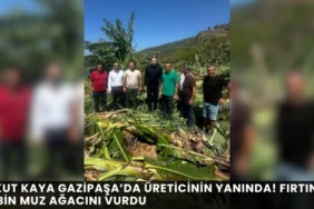 Alanya'da Tepki Çeken Görüntüler! Yabancı Uyruklu Şahıs Devlete Hakaret Etti - Mega TV thumbnail