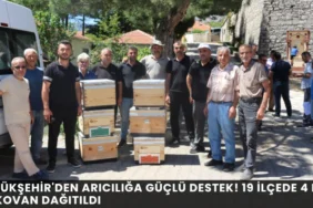 Tenis Öğrenmek İsteyenlere Fırsat! Antalya Büyükşehir'den Ücretsiz Eğitim - Mega TV thumbnail