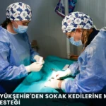 Alanya haber (77)