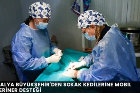 Salah'ın İlk Sözleri Sosyal Medyayı Salladı! Trabzonspor'da Tarihi Gün - Mega TV thumbnail