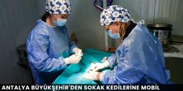 Alanya haber (77)