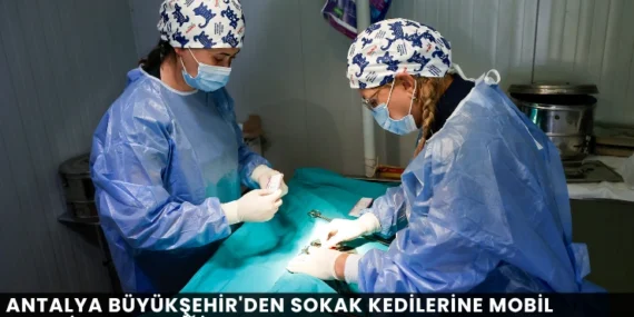 Alanya haber (77)