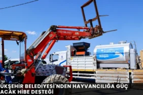 Abdullah Akkuş: "İtfaiye Evrakla Değil, Yangınla Mücadele Etmeli" - Mega TV thumbnail