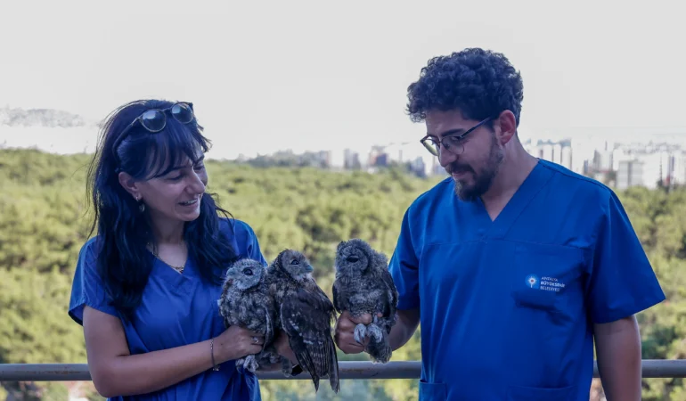3 Alaca Baykuş doğal yaşam alanlarına bırakıldı (4)