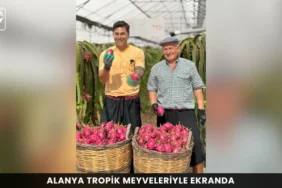 Alanya haber 10 3 - Mega TV