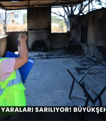 Alanya haber - 2026-09-01T133243.541