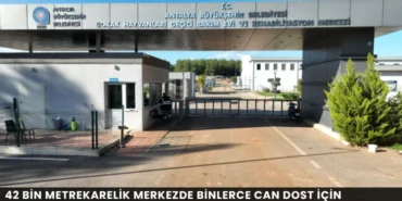 Alanya haber - 2026-09-04T133343.417