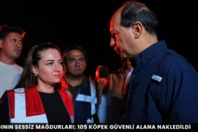 Kabine Sonrası Erdoğan'dan Ekonomi ve Konut Müjdesi - Mega TV thumbnail