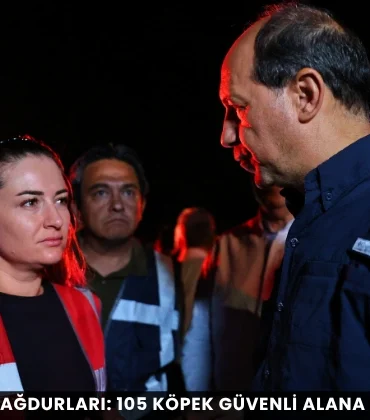 Alanya haber - 2026-09-08T114159.878