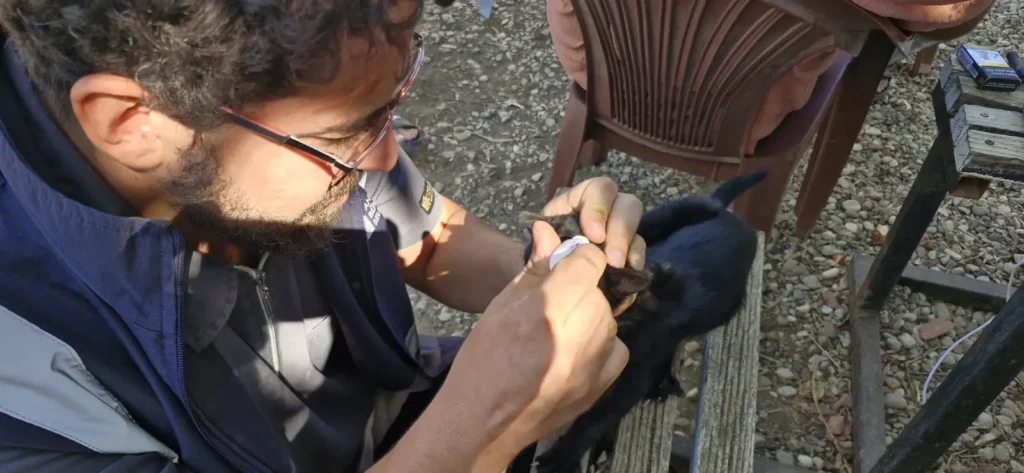 Antalya Buyuksehir Belediyesi yanginin ilk anindan itibaren sahada 6 - Mega TV