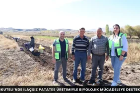 Alanya haber 102 - Mega TV