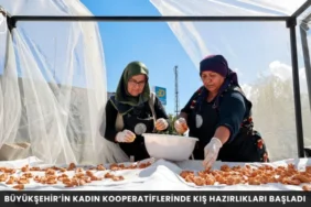 Alanya haber 21 - Mega TV