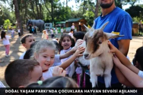 Alanya haber 33 2 - Mega TV