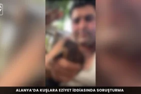 Alanya haber 37 - Mega TV