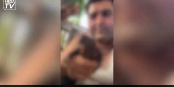 Alanya’da kuşlara eziyet iddiasında soruşturma