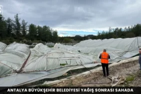 Alanya haber 38 2 - Mega TV