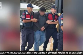 Alanya haber 38 - Mega TV