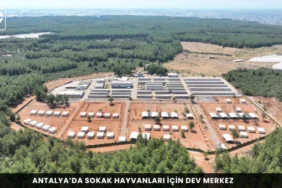 Alanya haber 4 1 - Mega TV