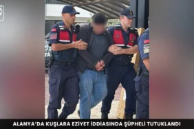 Alanya haber 41 - Mega TV