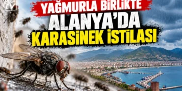 Alanya haber (55)