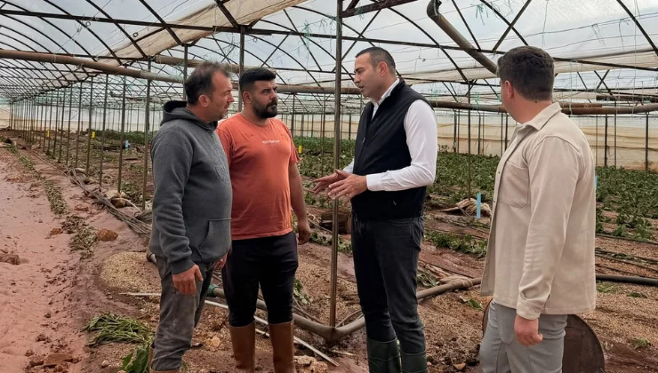 Alanya haber 69 1 - Mega TV