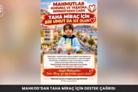 Alanya haber 81 - Mega TV