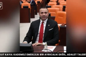 Alanya haber 82 - Mega TV