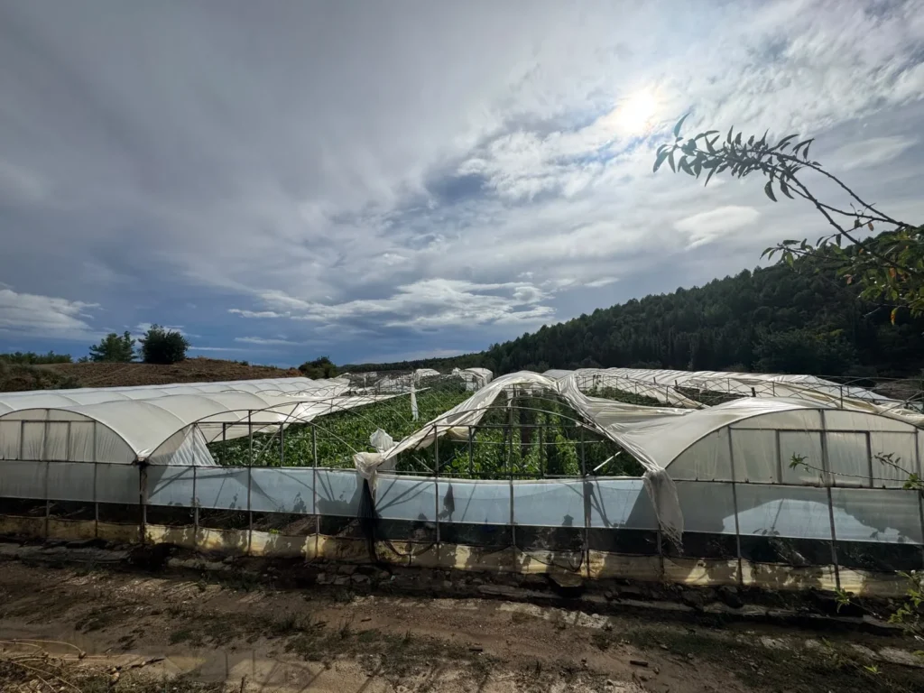 Antalya Büyükşehir Belediyesi yağış sonrası sahada - Mega TV Antalya Büyükşehir Belediyesi yağış sonrası sahada
