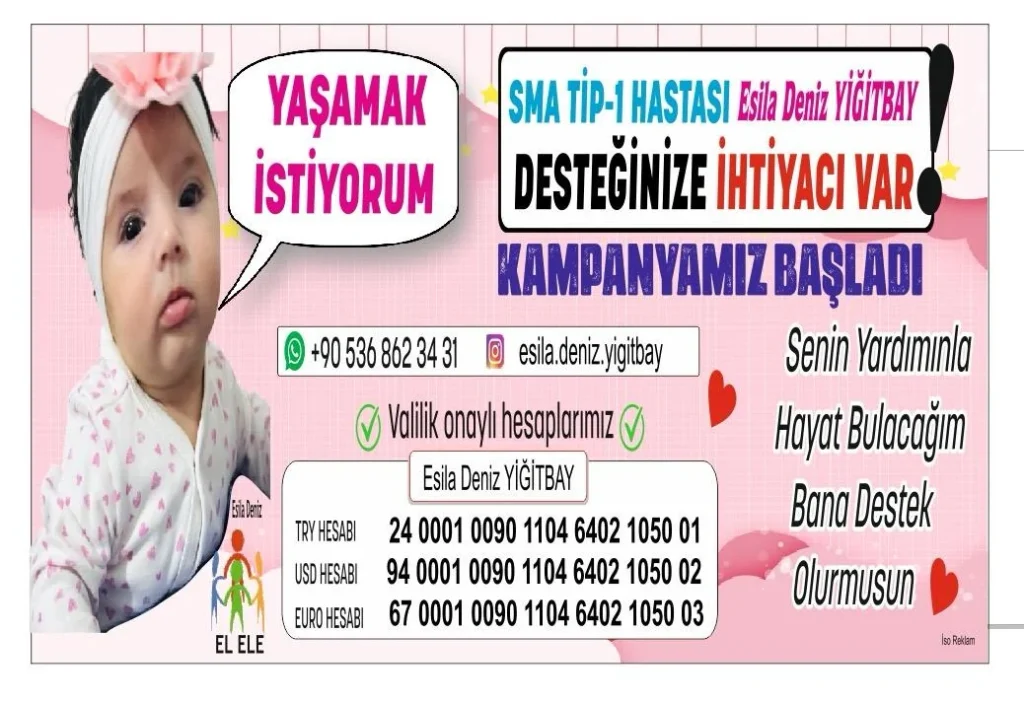 WhatsApp Image 2026 10 08 at 18.34.56 1 - Mega TV